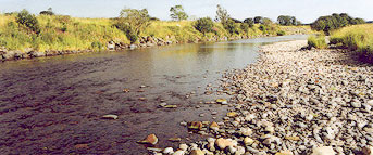 rivertop.jpg (25546 bytes)